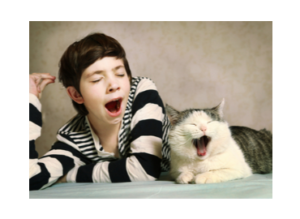 Boy and cat yawning